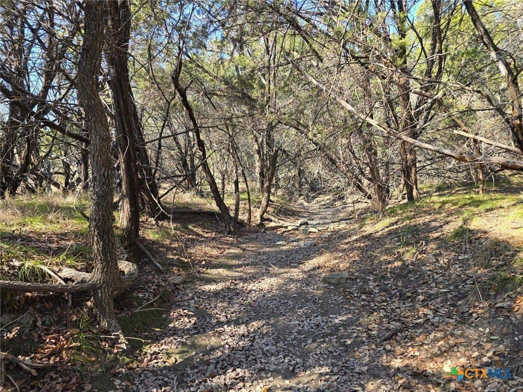 10.24 acres in Lampasas County - photo 19