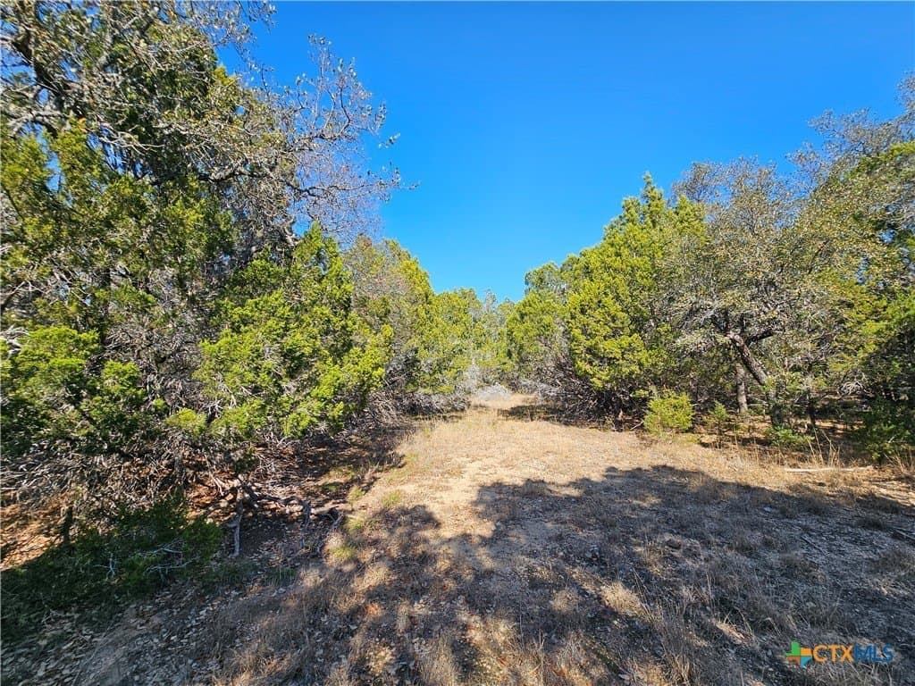 10.24 acres in Lampasas County - photo 10