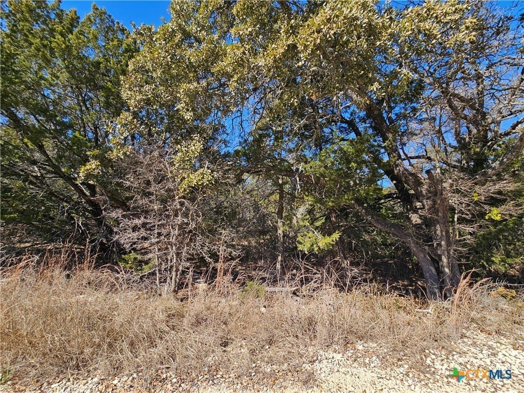 10.24 acres in Lampasas County - photo 5