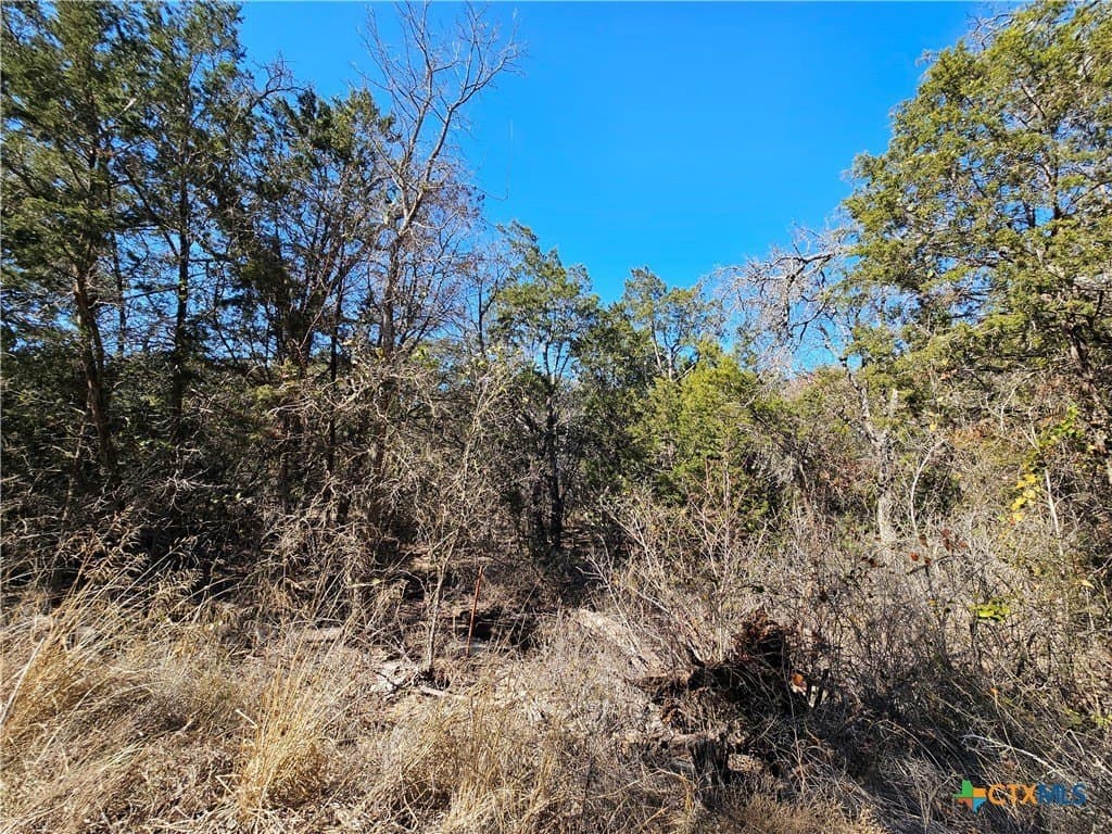 10.24 acres in Lampasas County - photo 6