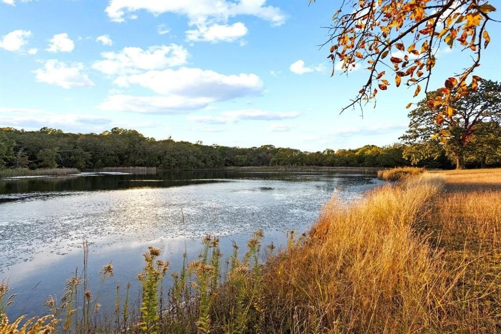 45.91 acres in Grayson County - photo 2