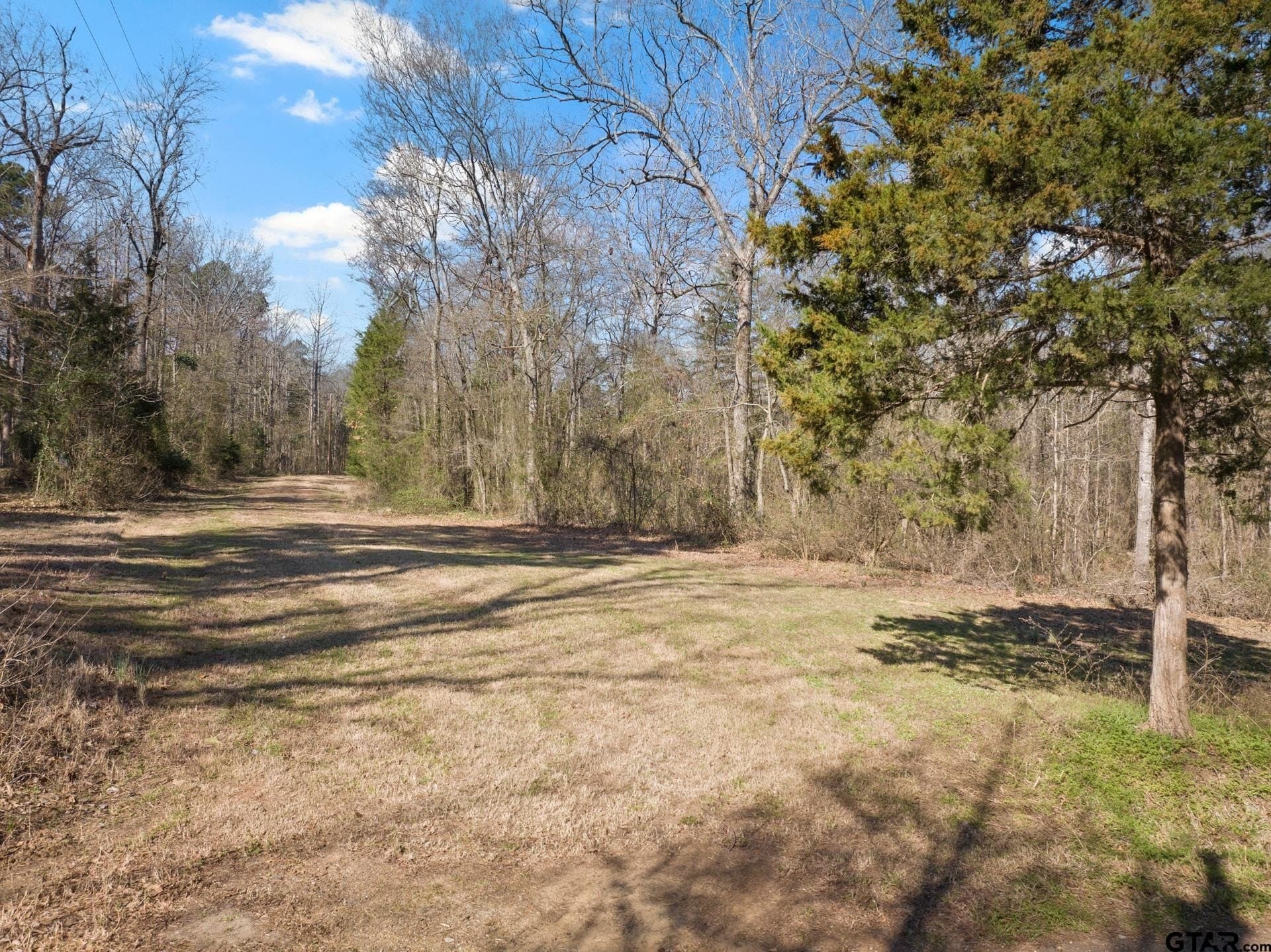 13.34 acres in Upshur County - photo 9