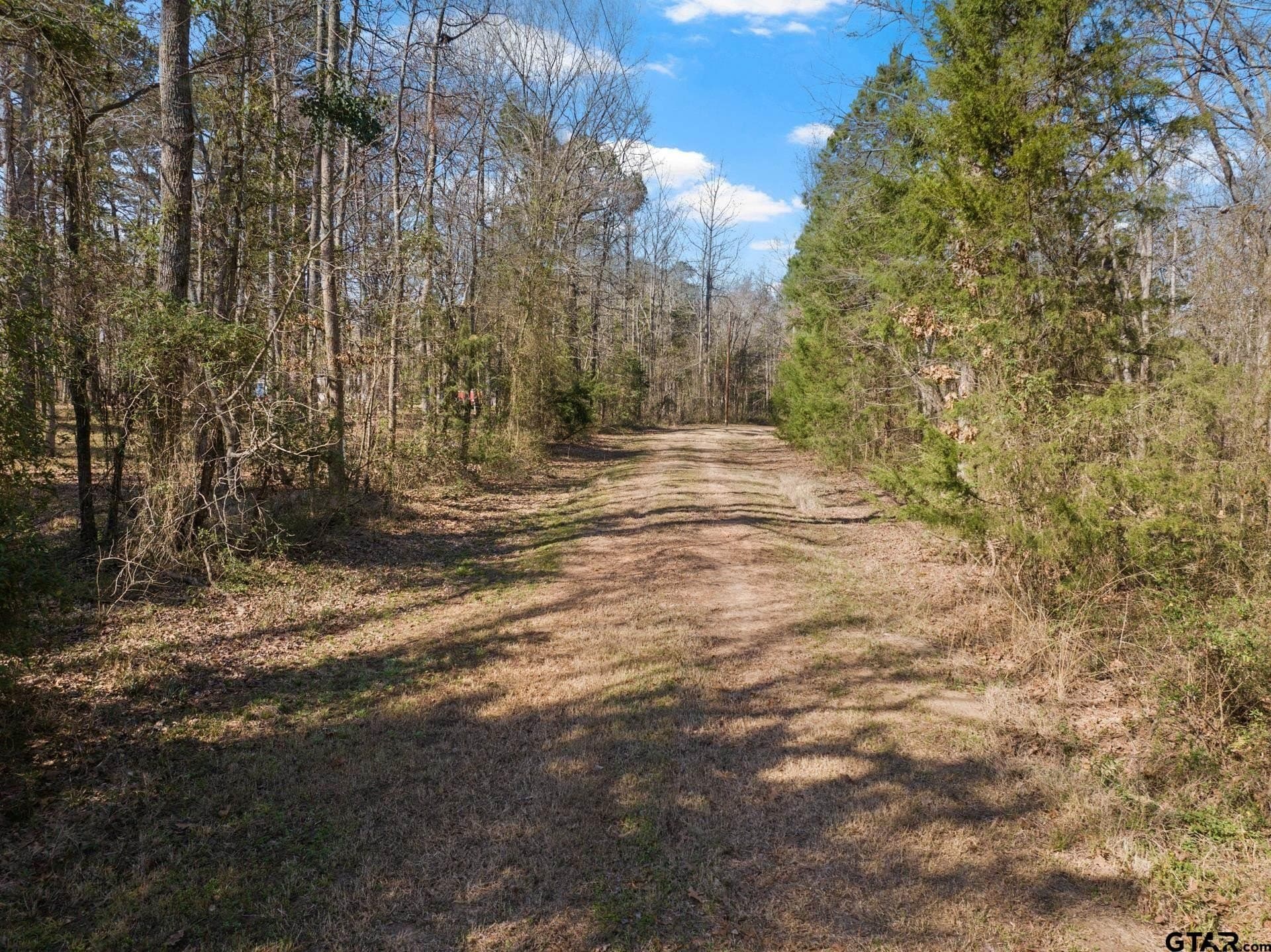 13.34 acres in Upshur County - photo 10