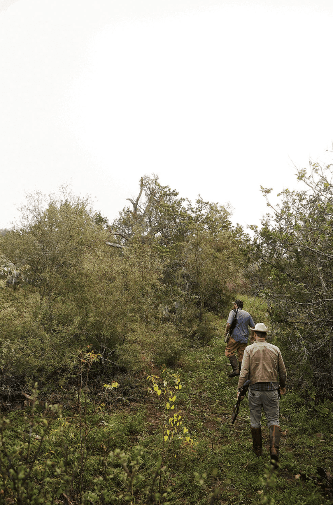 A hunter in the woods