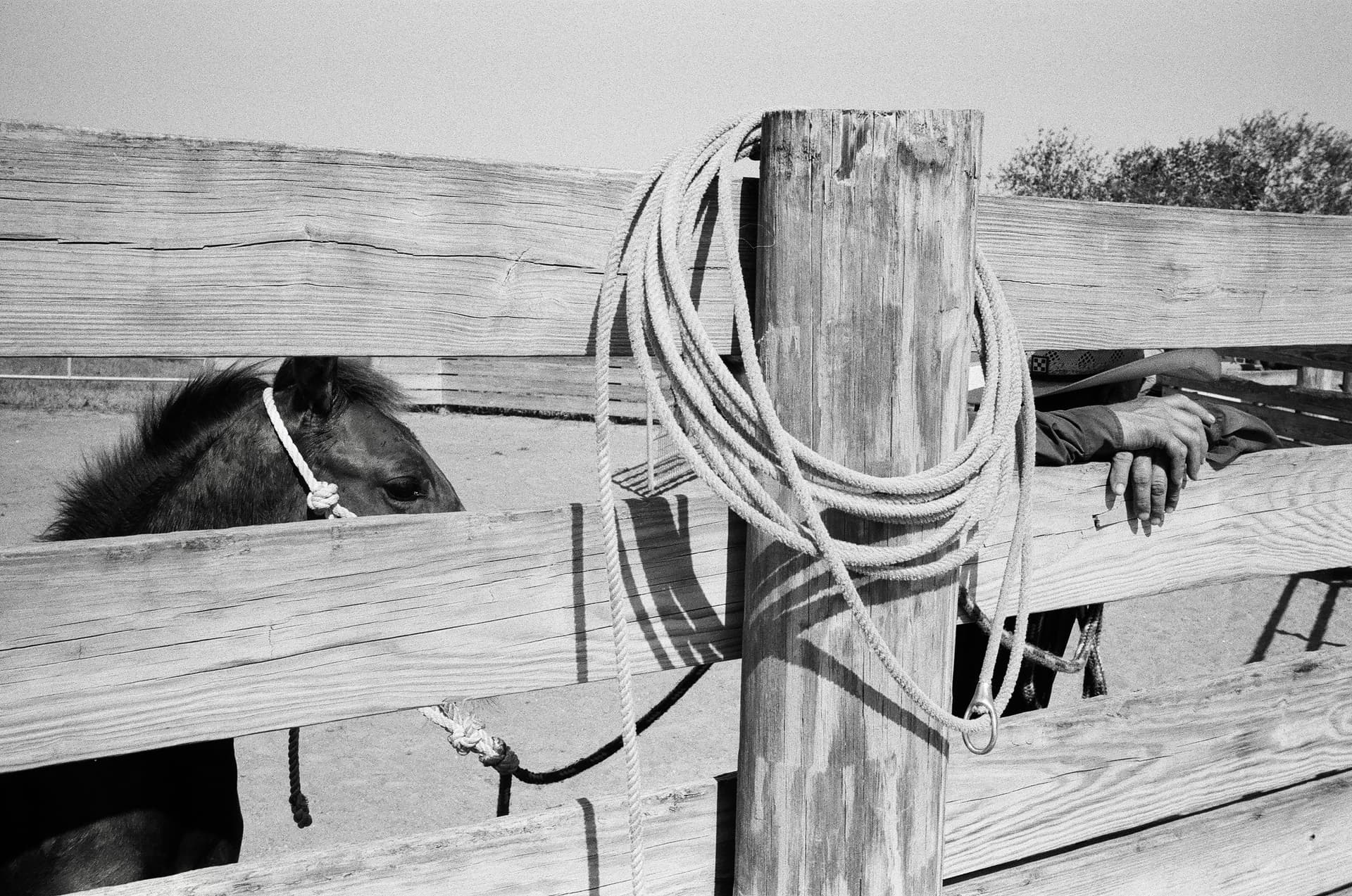 A cowboy and a horse rest by a fence