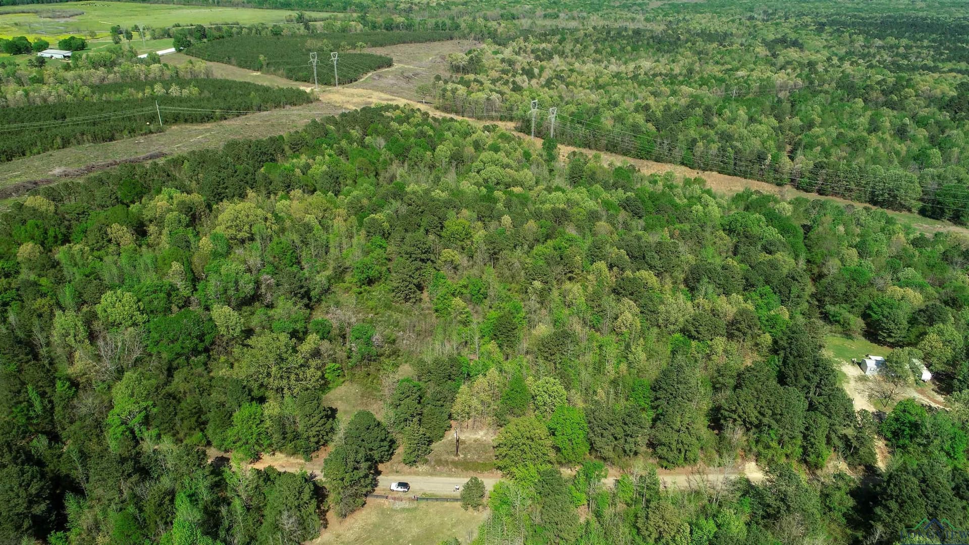 Tbd COUNTY ROAD 4244