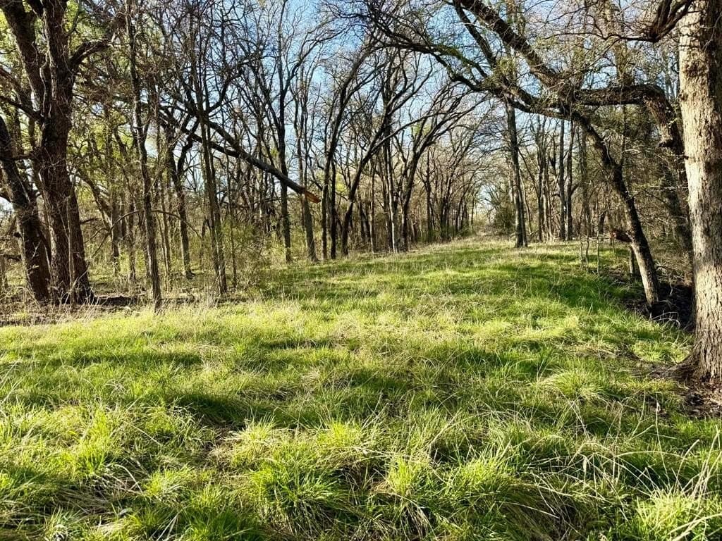 Tbd 20.02 Acres CR 328