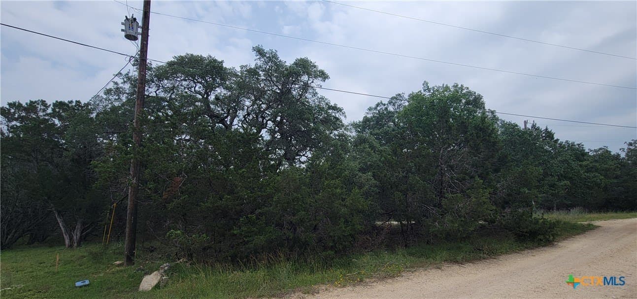 1391 Covered Wagon lot: 6