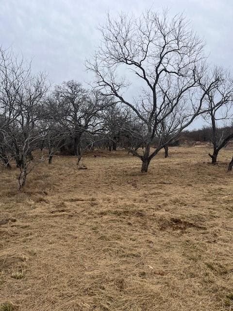 Tract 7 Of 17 Ac Burwick Road