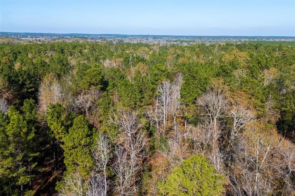000 County Road 1135