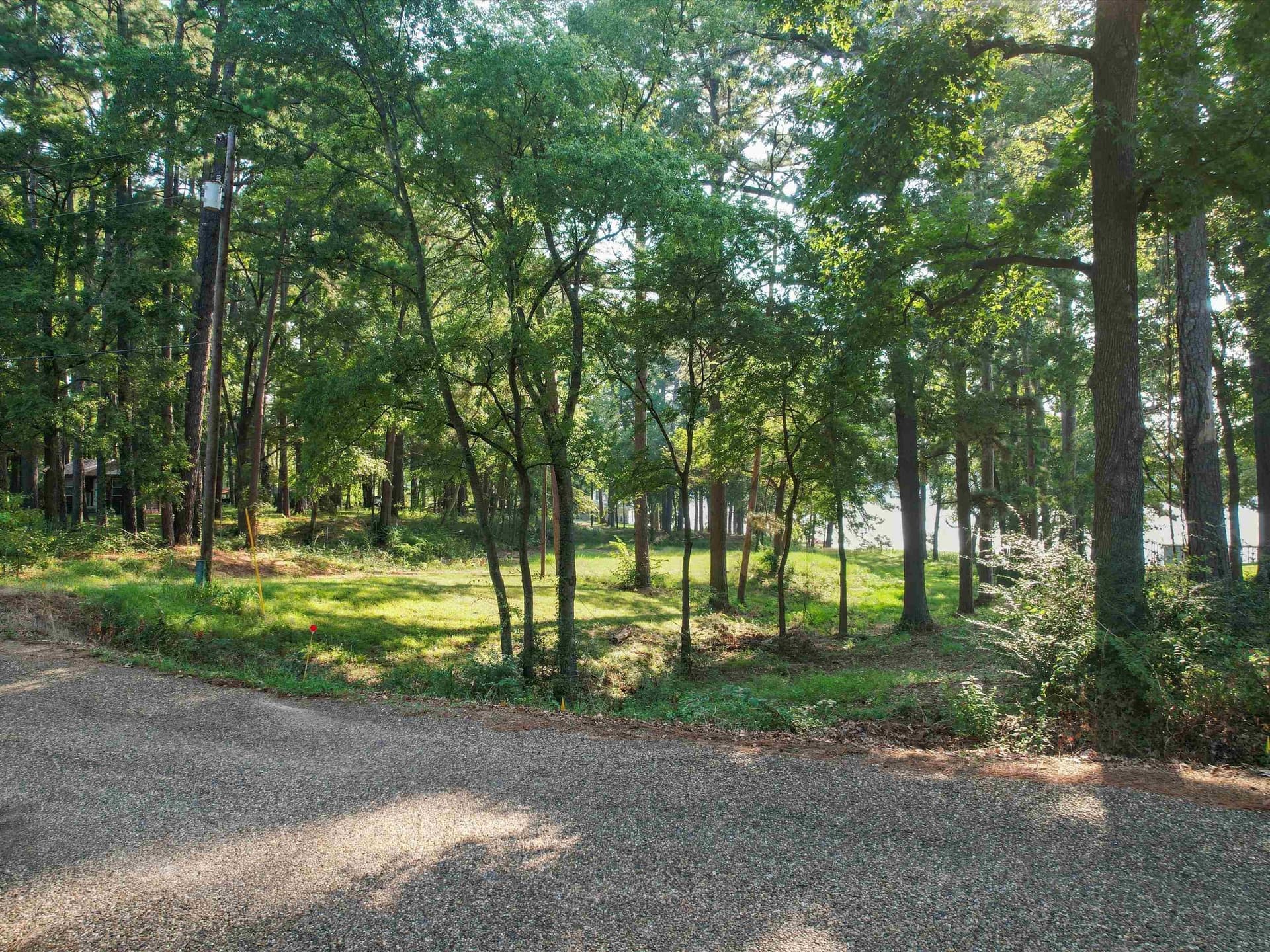 91 COUNTY ROAD 2223