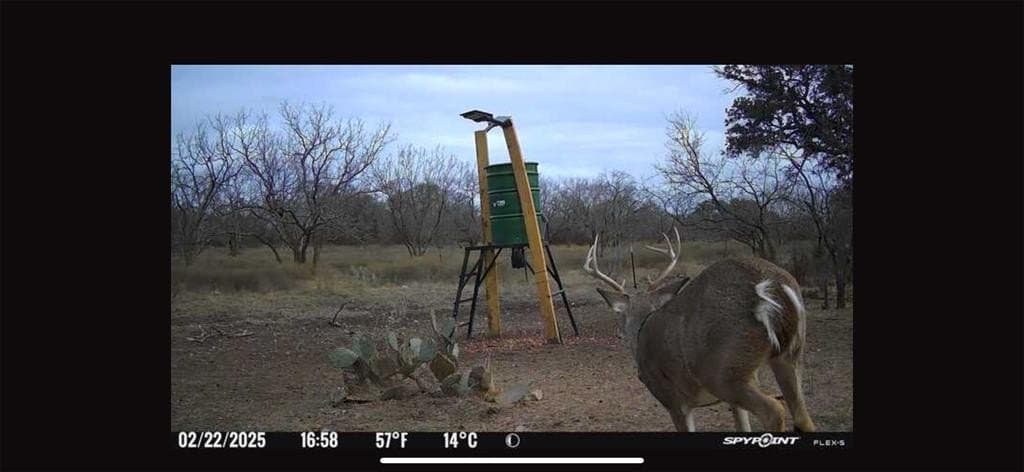 101 Sika Spur