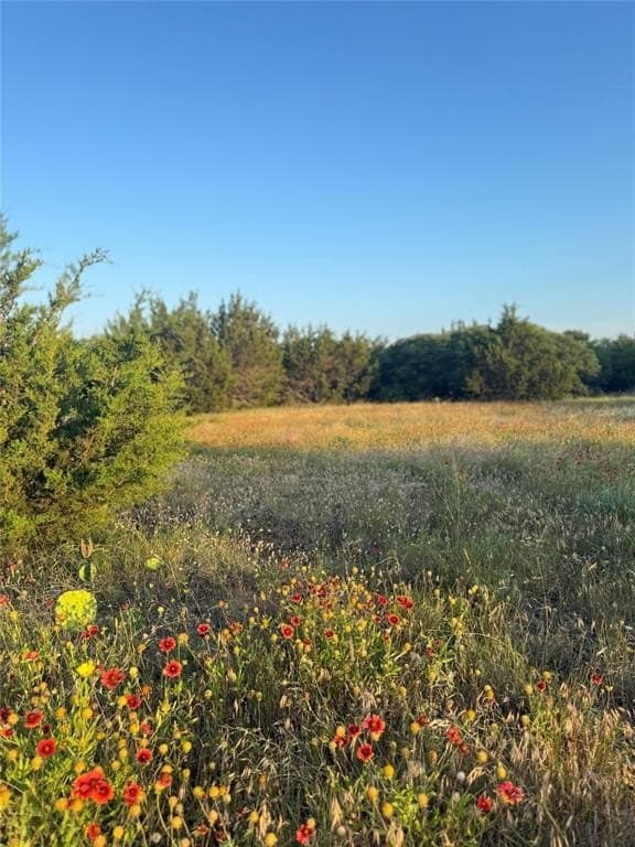 Tbd Pecan Shell Road