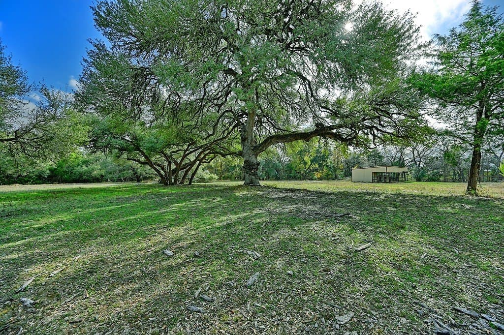 505 North Live Oak Street