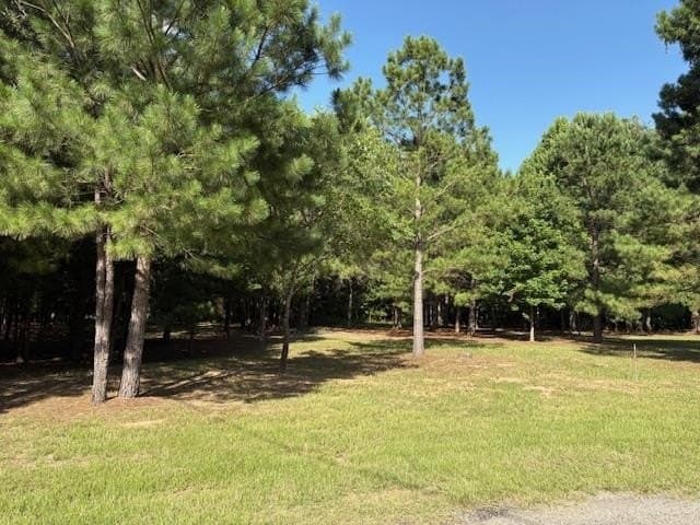 208 Pack Saddle Ridge