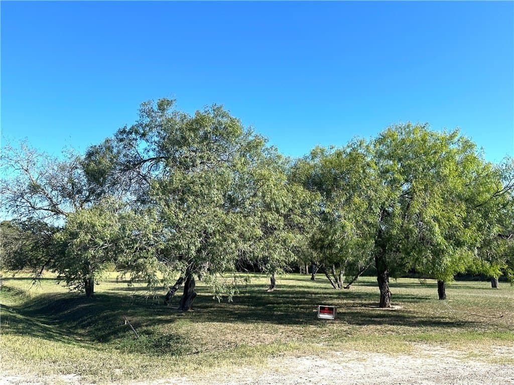 E Merriman Street lot: 1