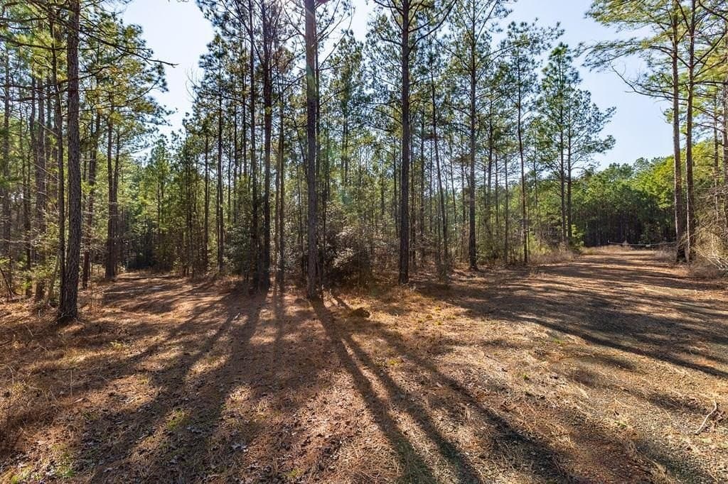 L28371 County Road 411