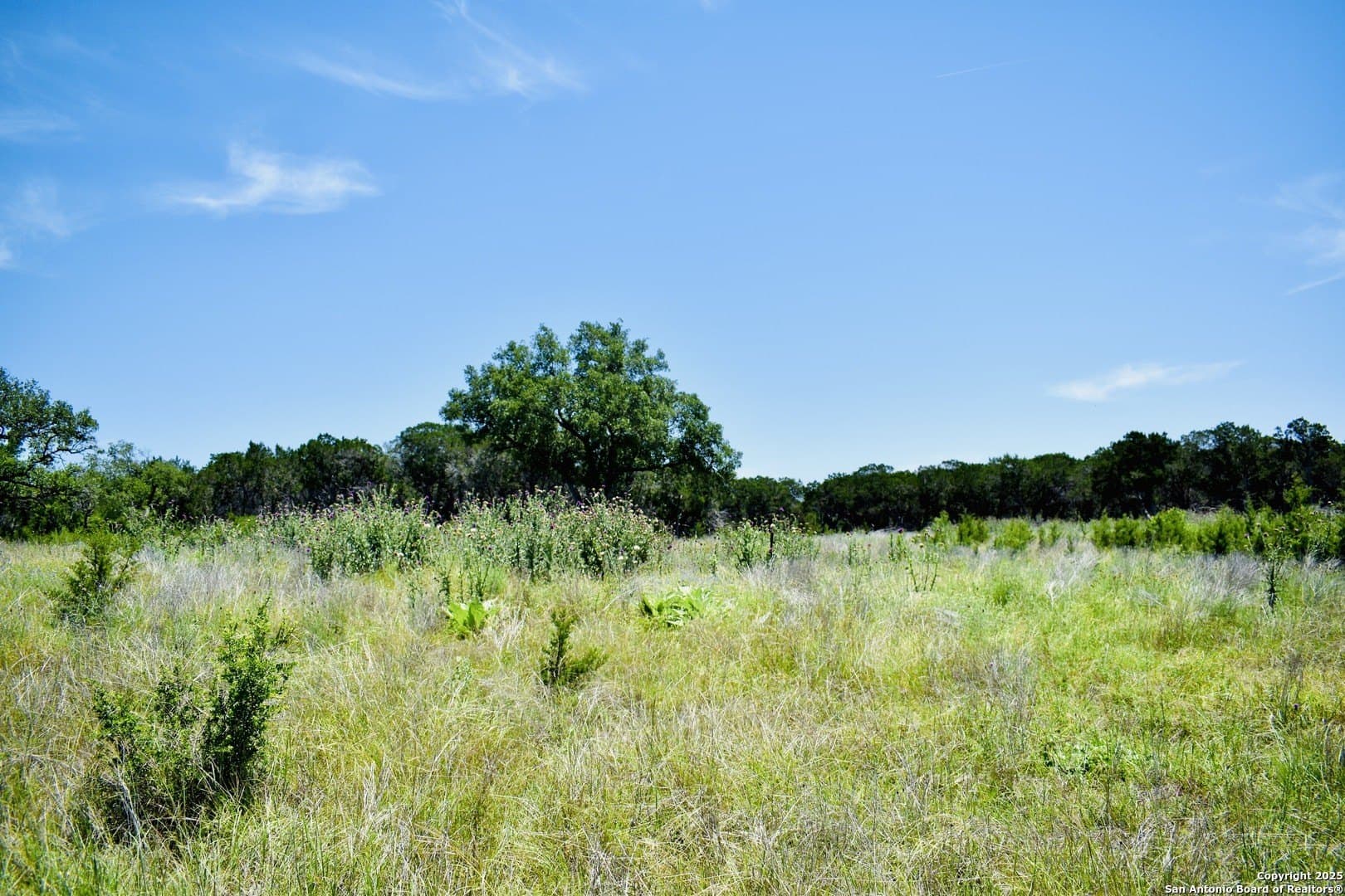 Clearwater Canyon Rd lot: 53