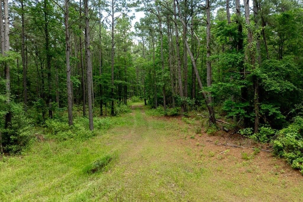 3962 County Road 1095