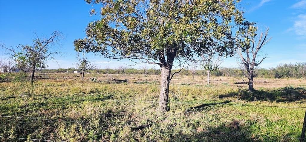 201 Orchard Lane lot: 12 13 14