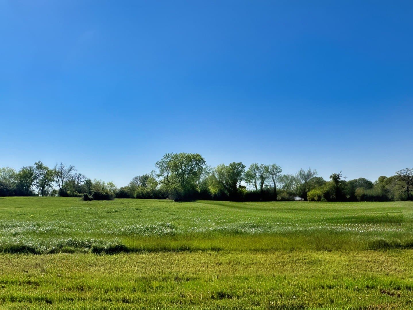 Panther Ridge Drive lot: 37