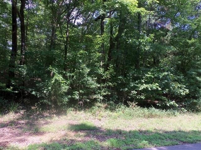 Tbd--lot 9 Willow Springs Road