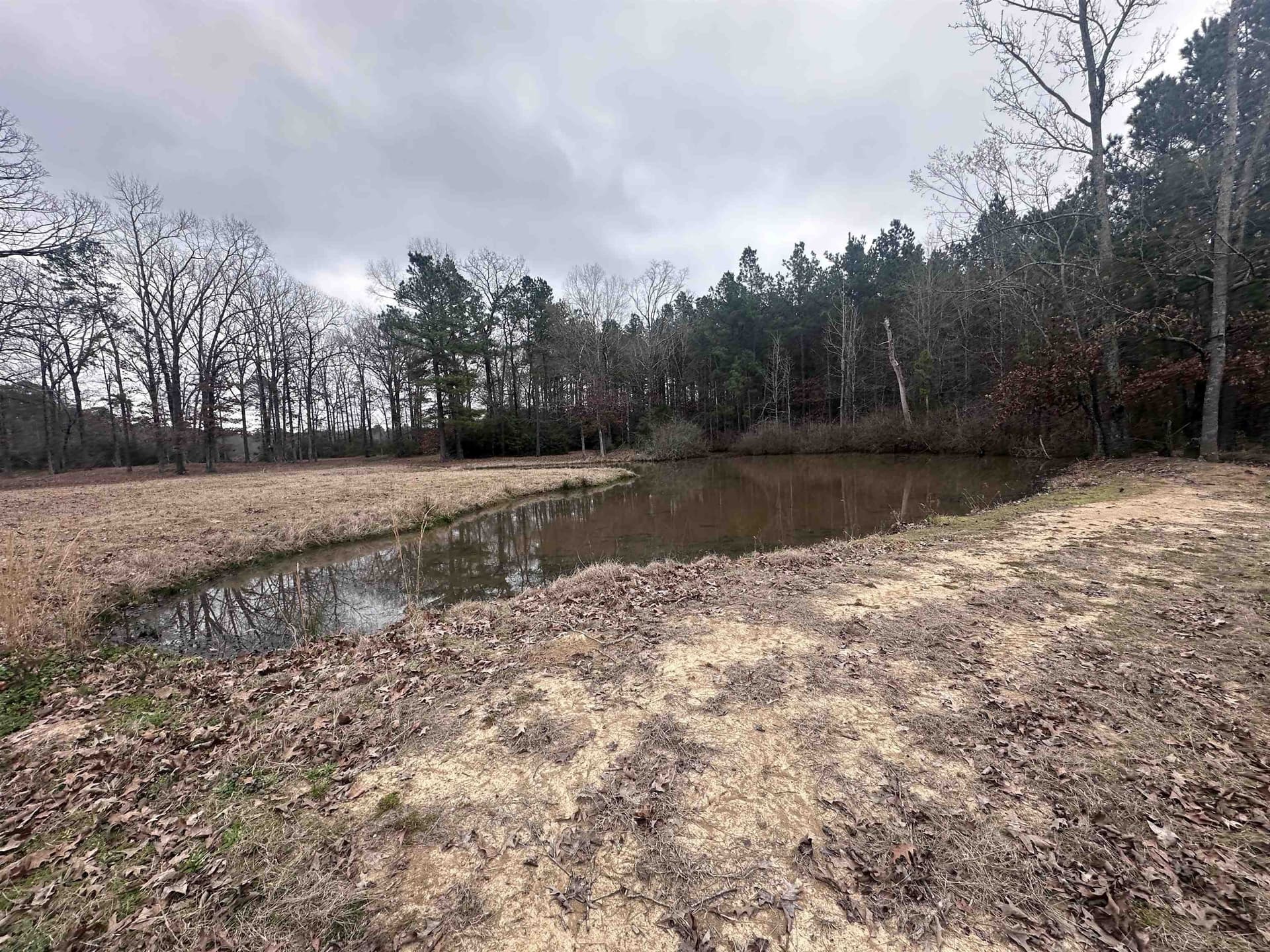 Tbd County Road 2385
