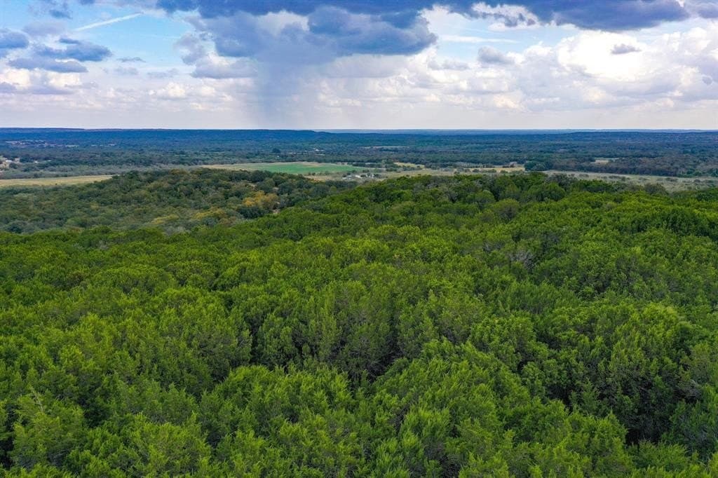 79 Acres Halsell Ranch Road