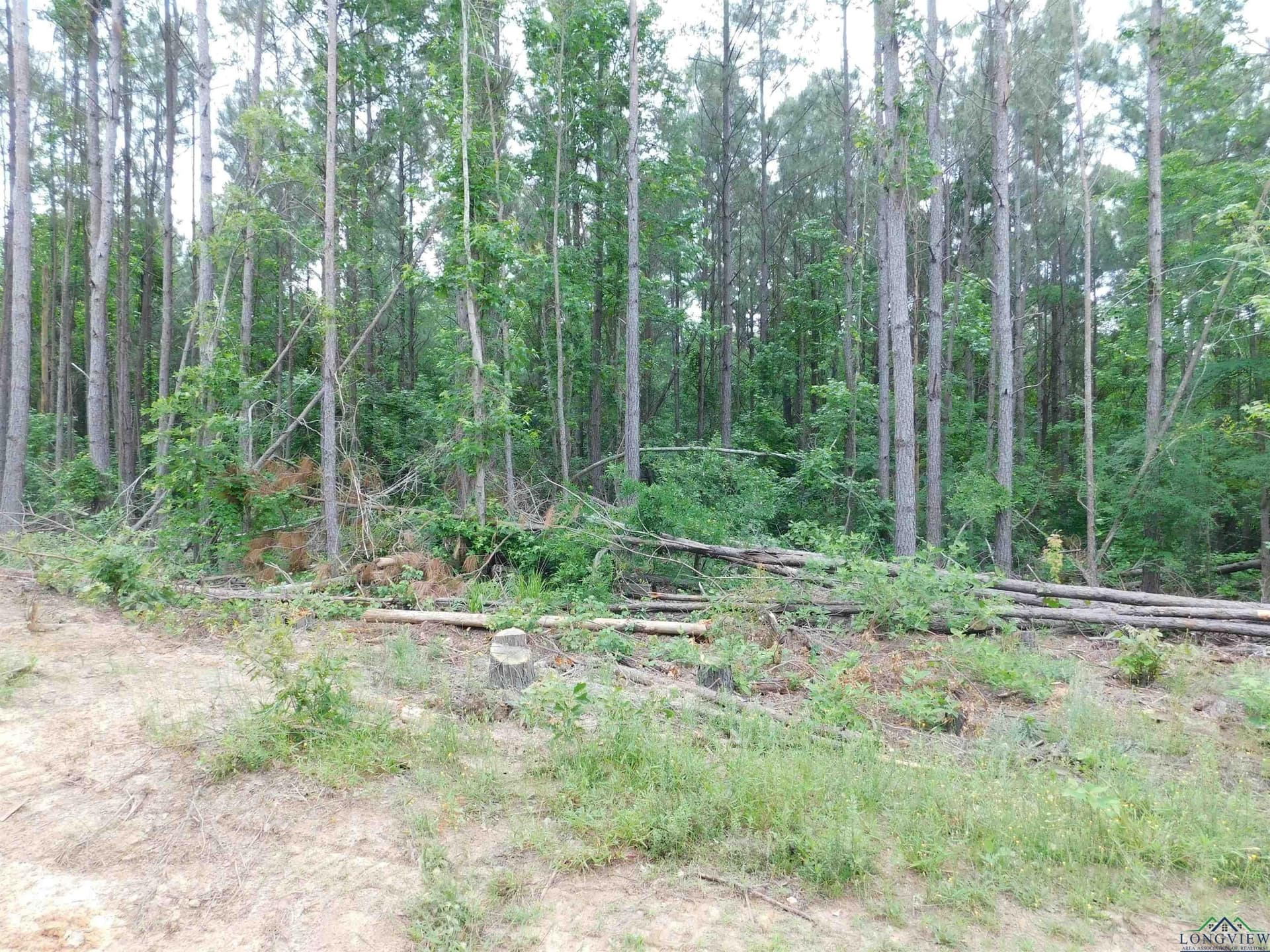 Tbd MEGAN MILLS RD
