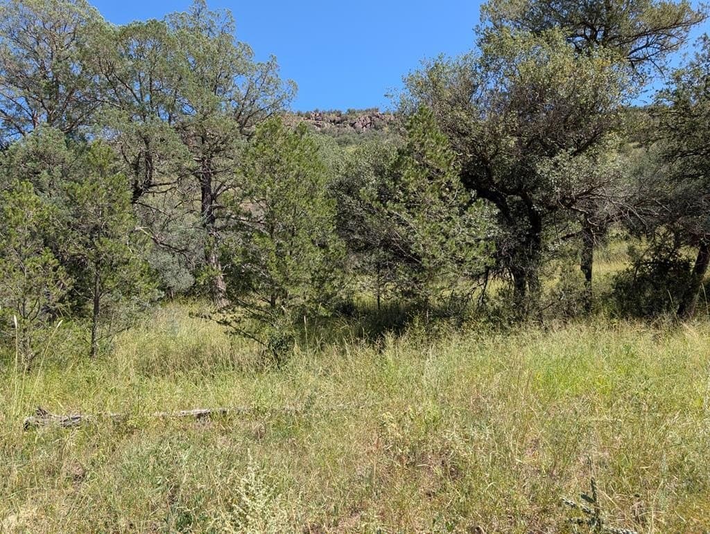414 Squaw Valley Trail