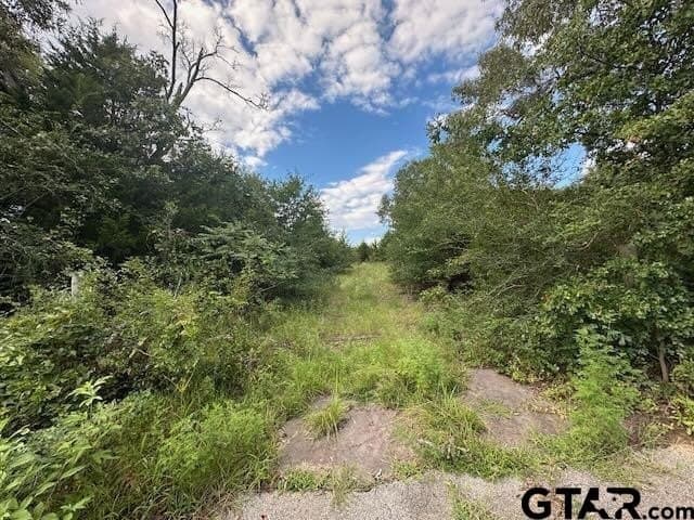 TBD VZ CR 1823