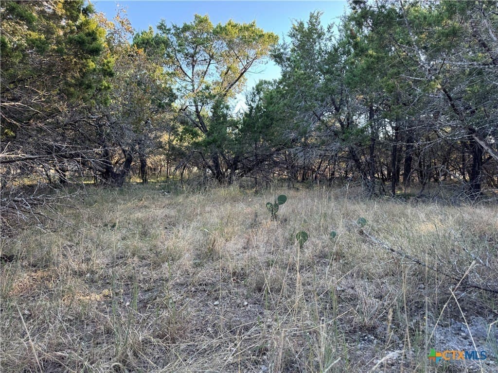 15915 Charlya Drive lot: 259