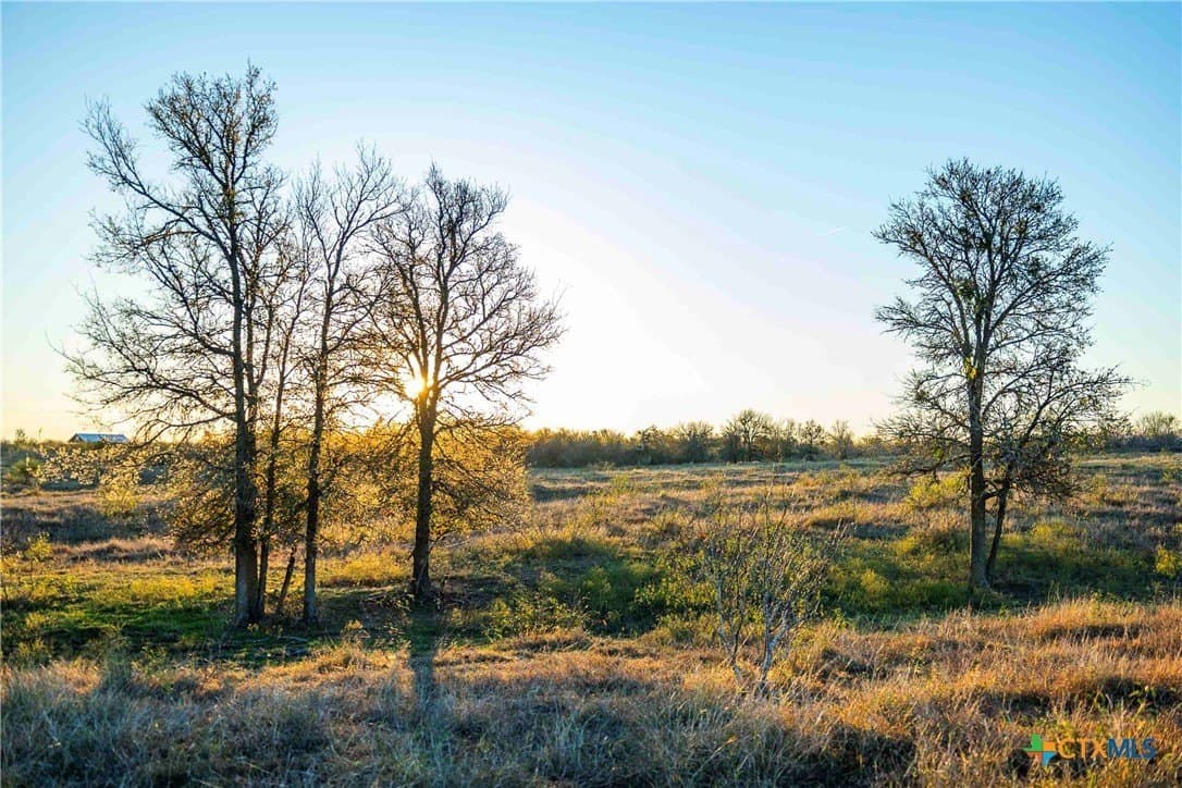 3191 County Road 463