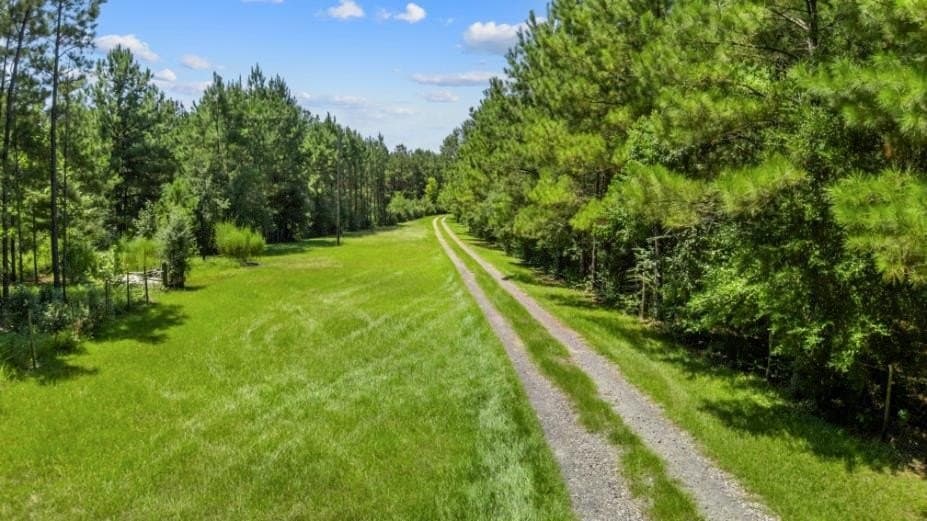 3239 County Road 1325