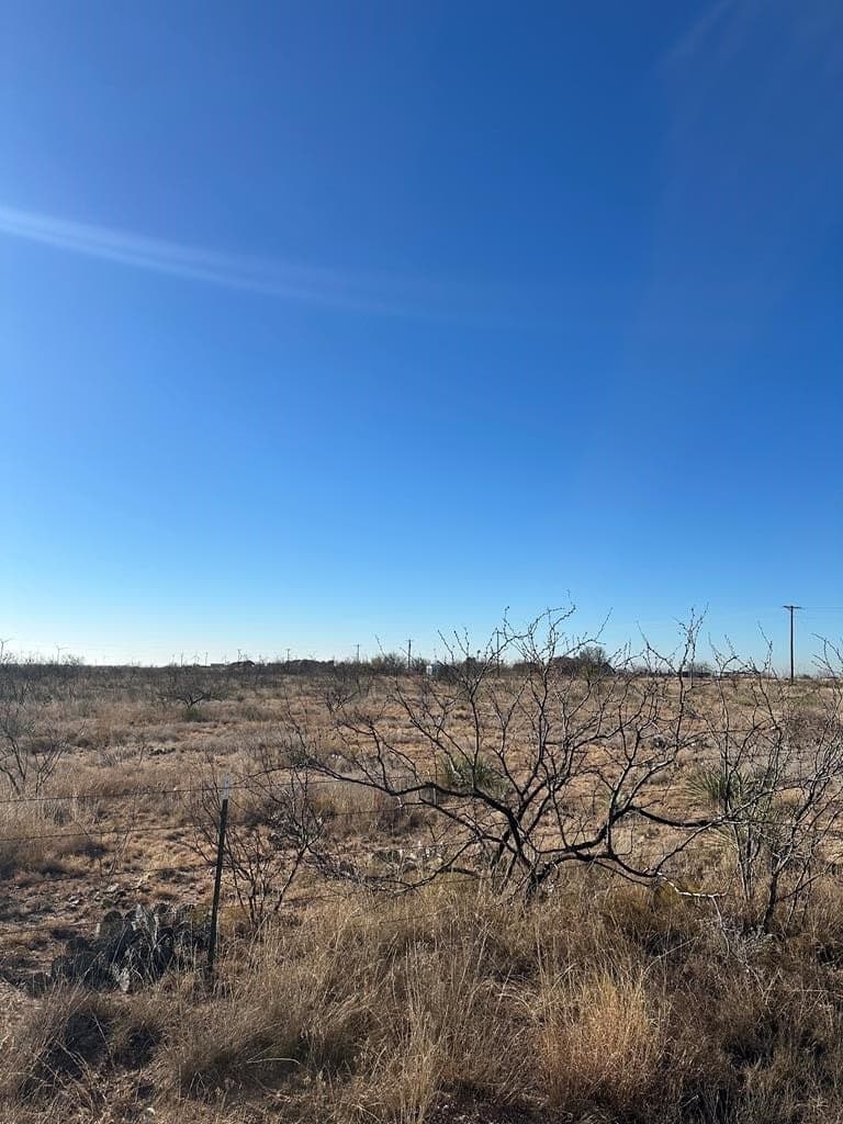 Ponderosa Dr