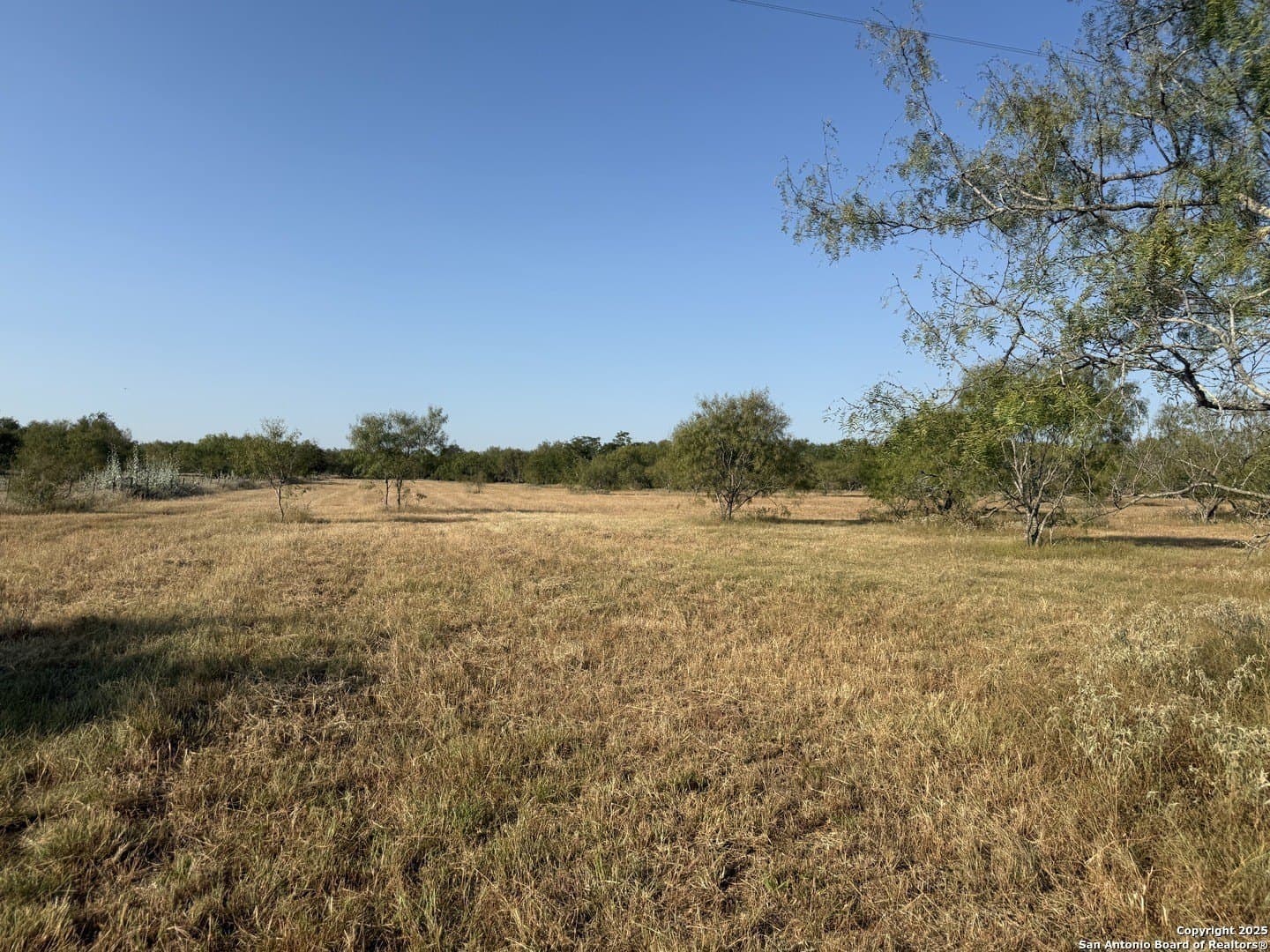 Fm 1681-Tract 3