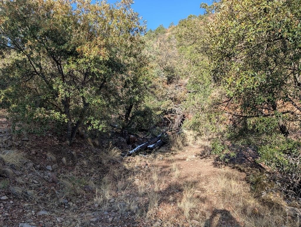 402 Colleen Canyon Trail
