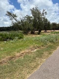 342 VILLAGES DR