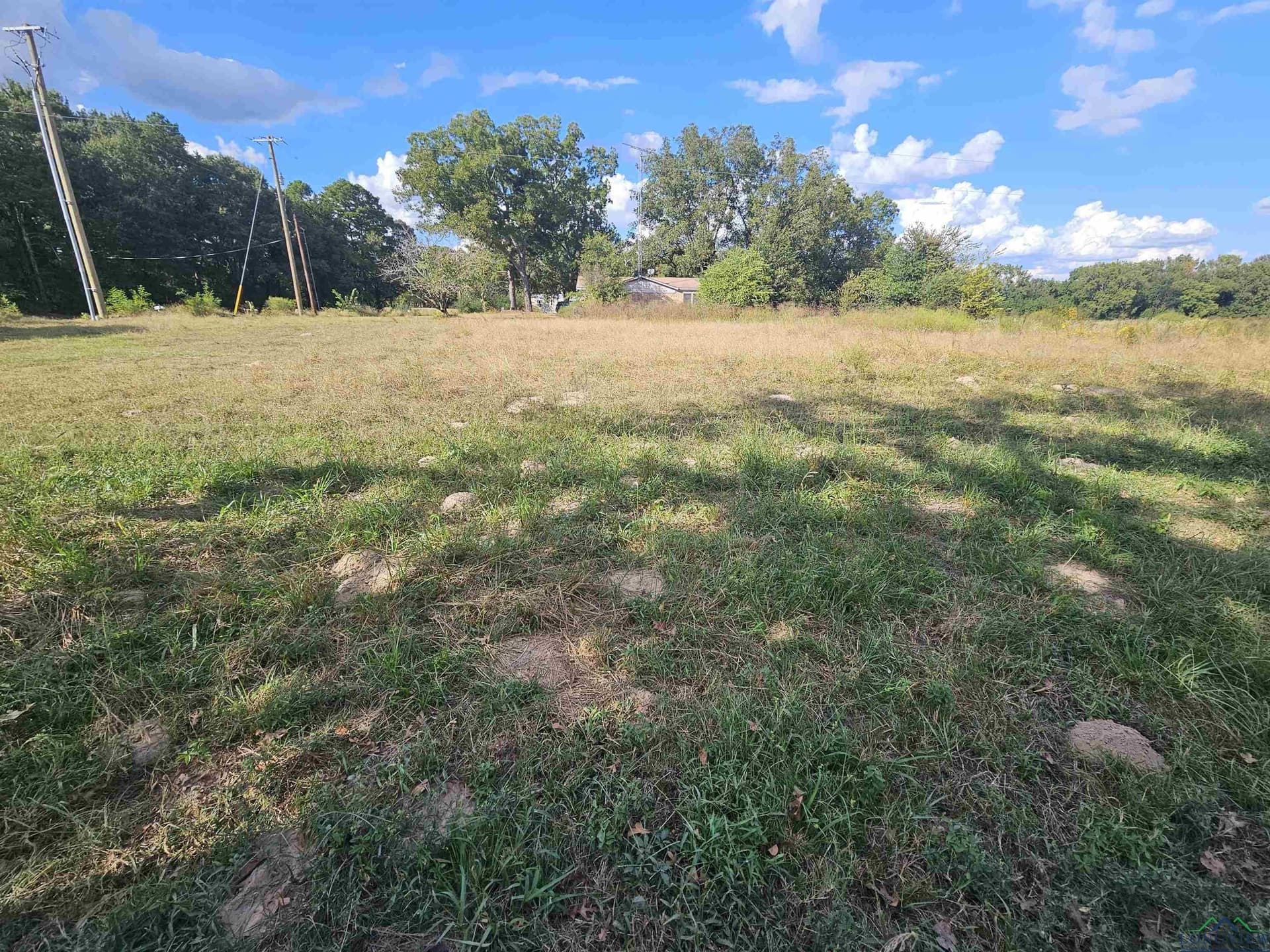 Tbd FM 315 & CR 3316