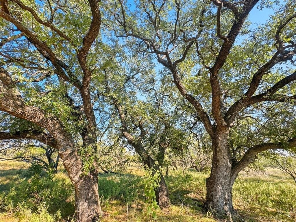 Lot 15 And 16 PR 4212
