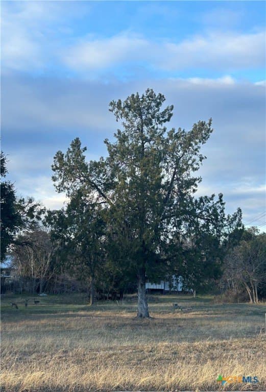 503 E Avenue G lot: 4