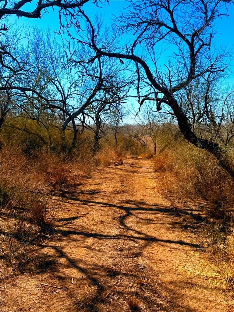 TRACT 13 SAN DIEGO CREEK RANCH lot: 0