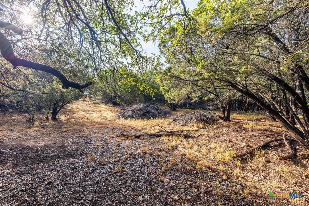 21402 Broken Bow Cove lot: 2007