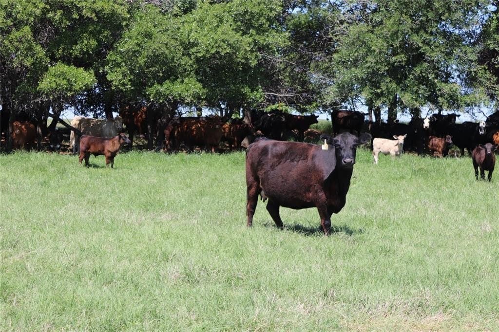 80 Acres North Deer Creek Rd