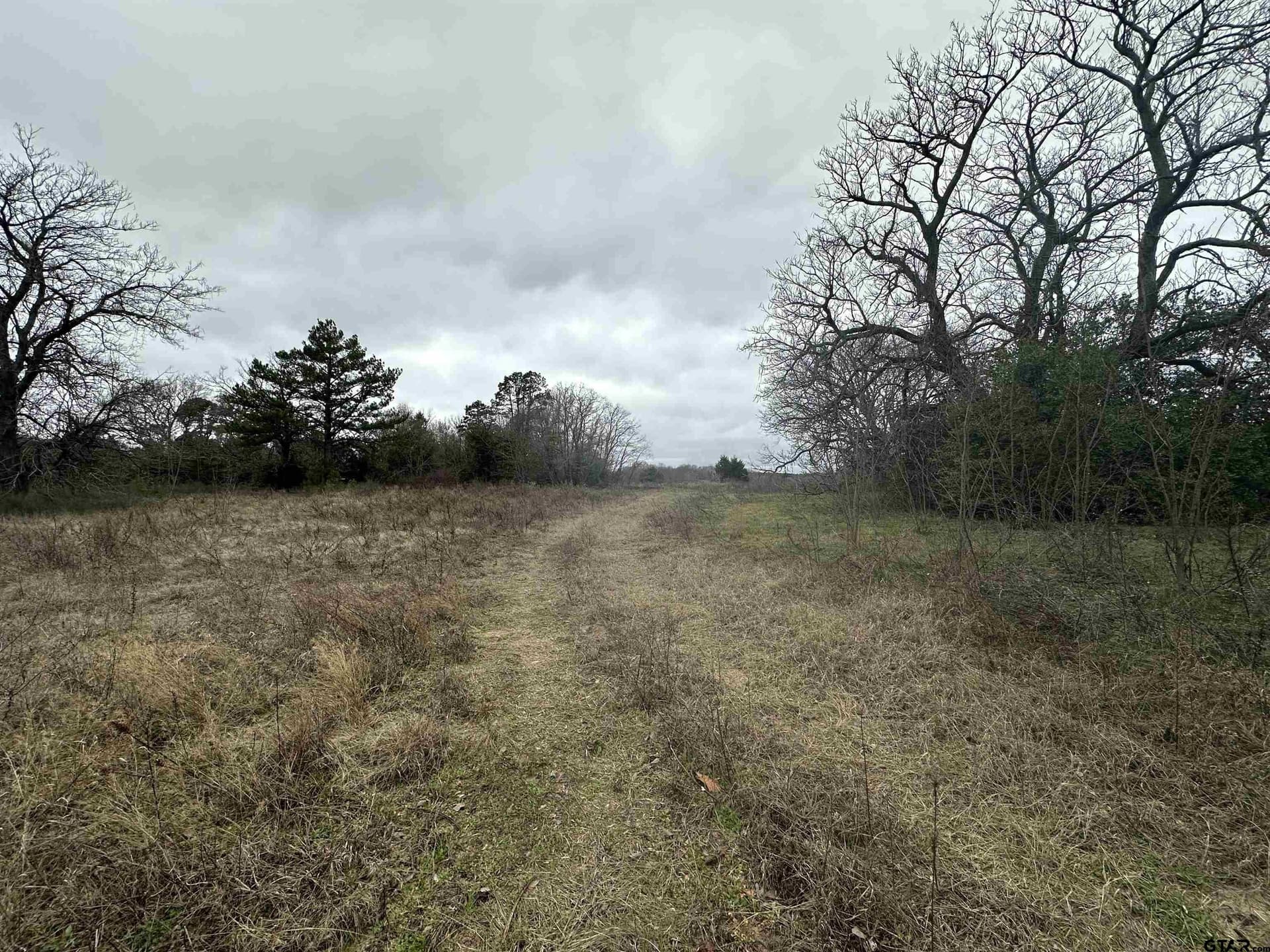 20245 FM 1804 (Hoard Rd)