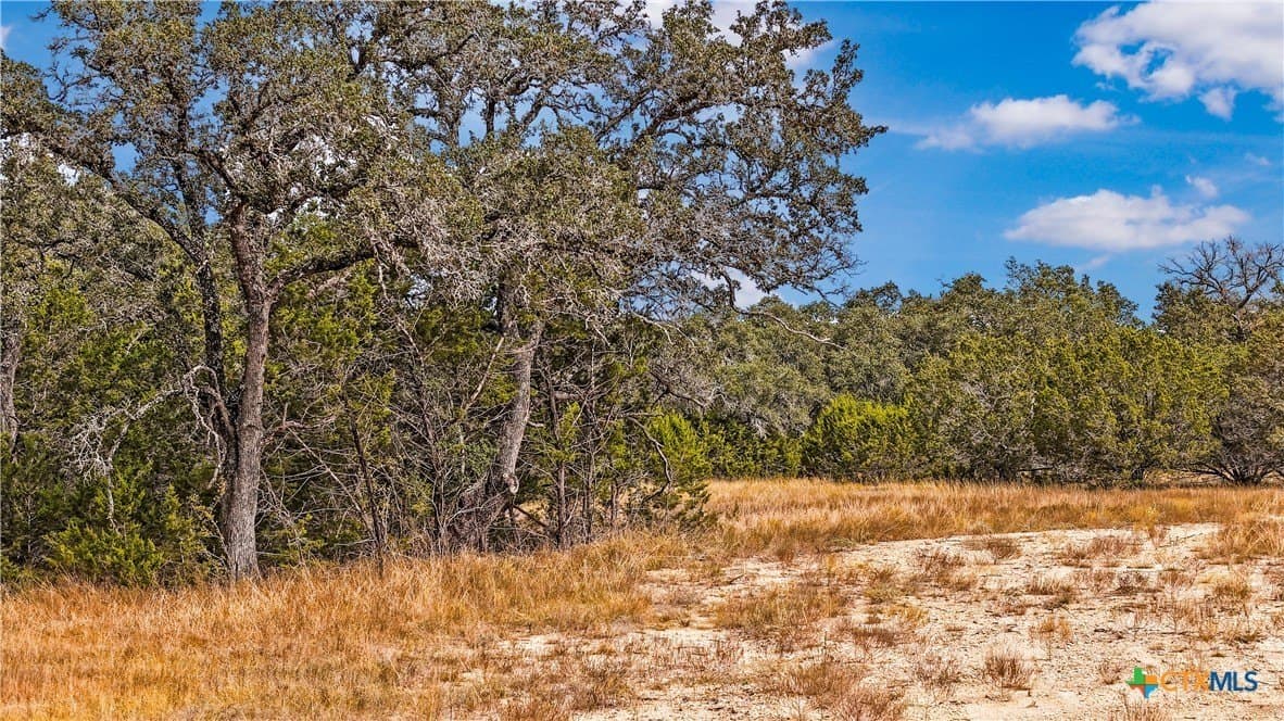 1949 Paradise Parkway lot: 80