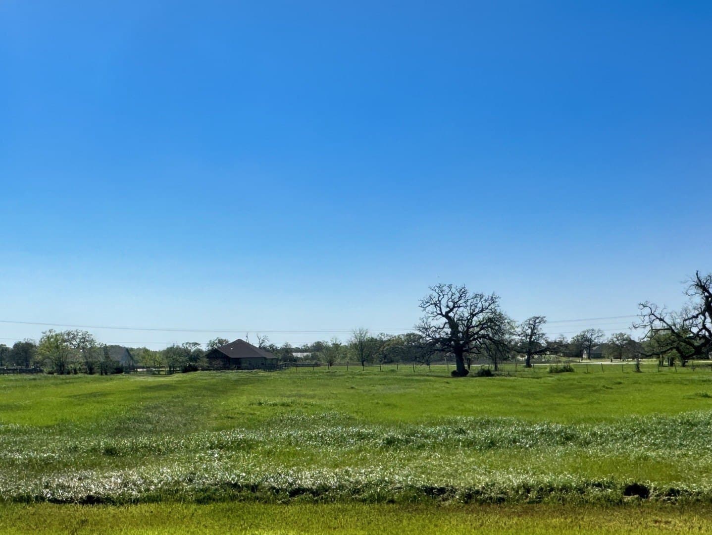 9969 Panther Creek Drive