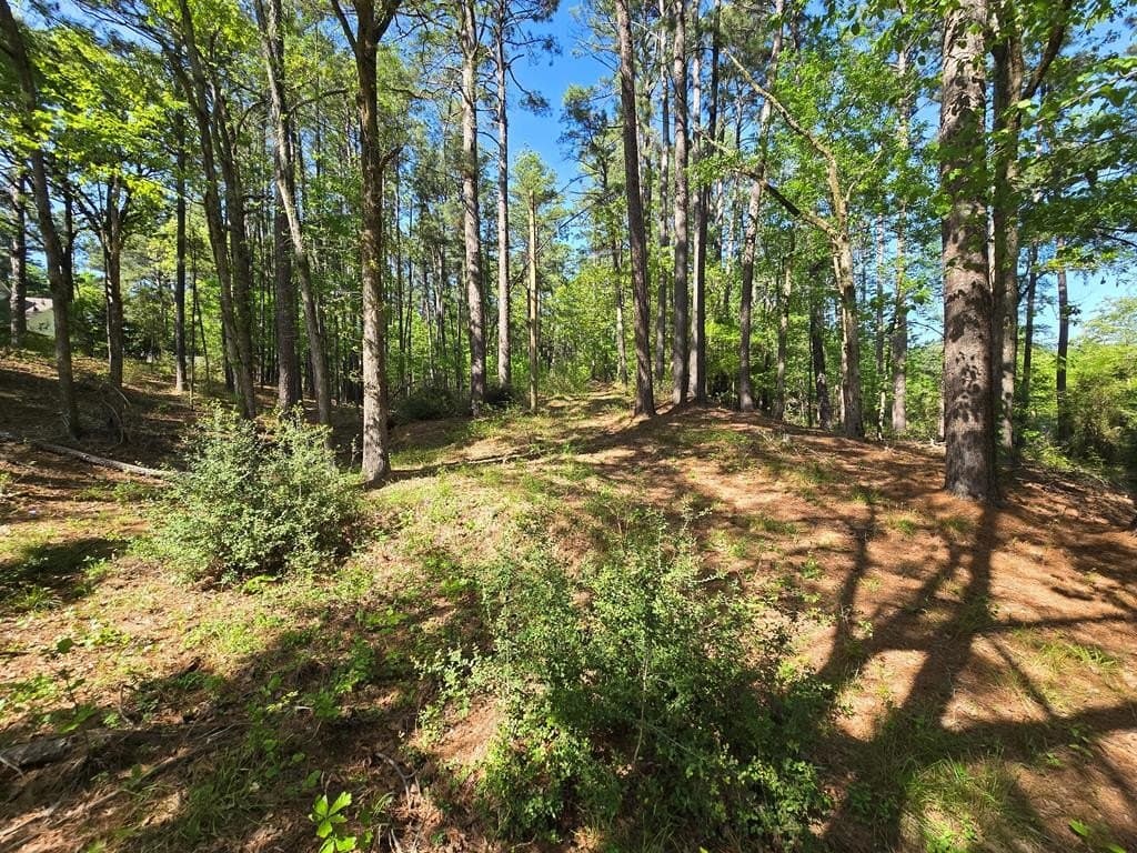 2723 TIMBERLINE TR