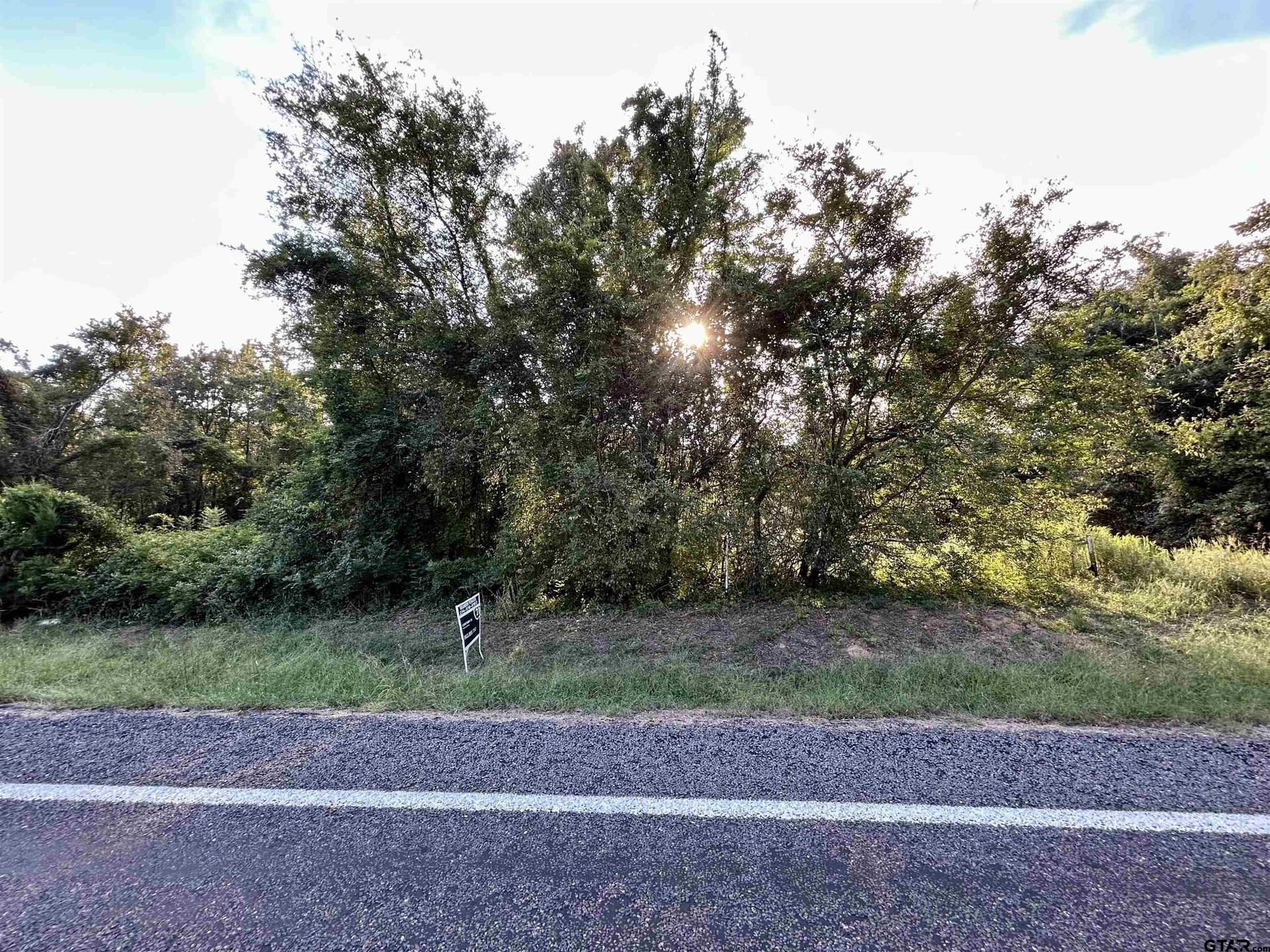 Lot 1 FM 1519