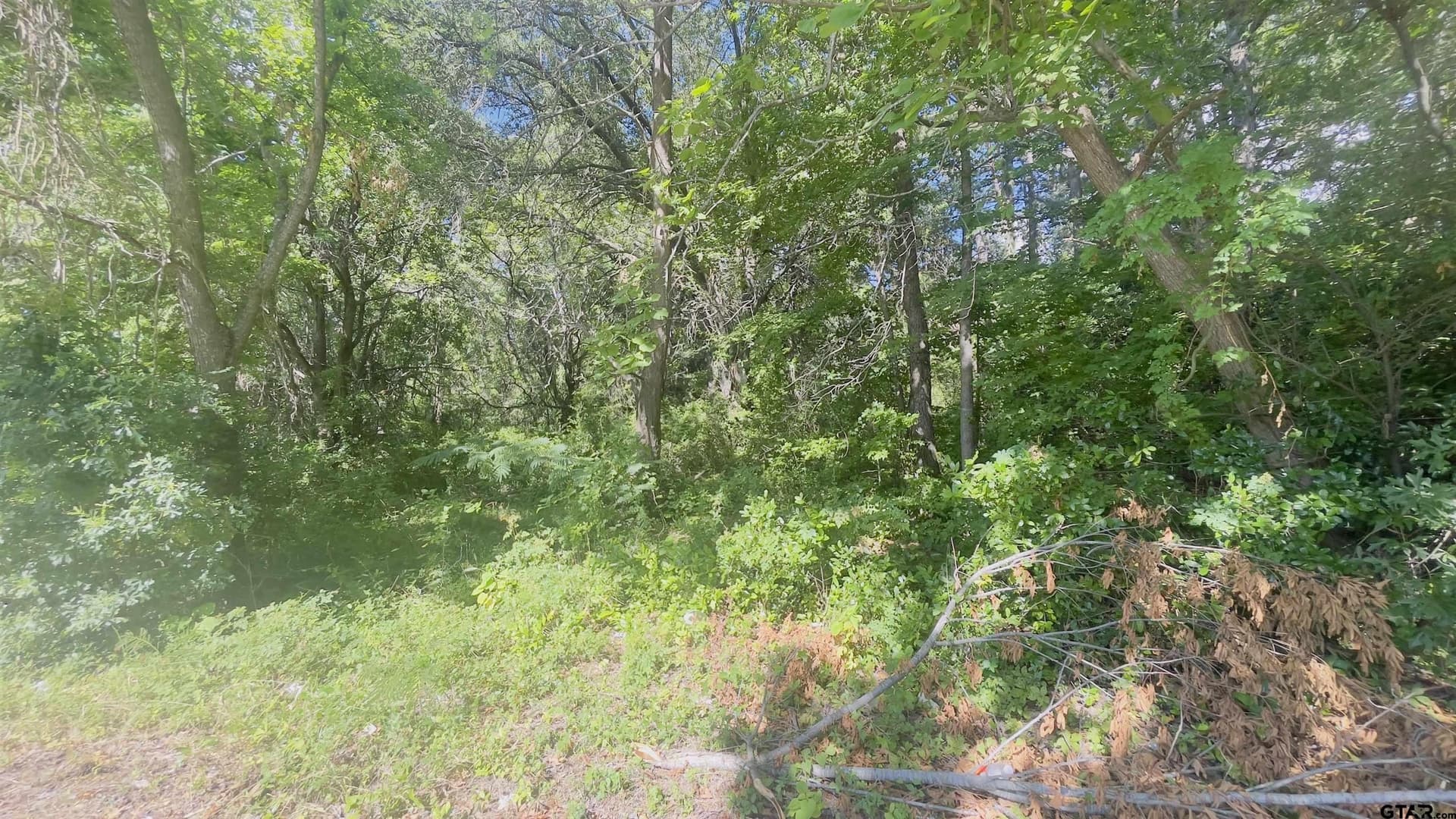 TBD Old Cave Springs Rd